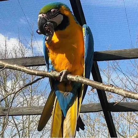 Zoo Taet Pa Legoland, Lego-house, Lalandia 아파트